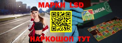 стаф Дубна