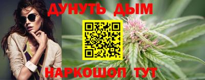 стаф Дубна