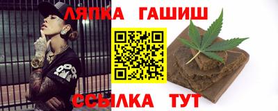 стаф Дубна
