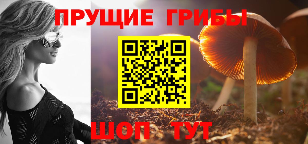 Псилоцибиновые грибы MAGIC MUSHROOMS  как найти наркотики  Ликино-Дулёво  Вход с VPN  Галлюциногенные грибы ЛСД 